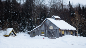 Photo 1 : &Agrave; quelques minutes seulement du centre, la ville de Qu&eacute;bec ressemble &agrave; une station de ski. (Photo du danseur Steve Feng) Photo 2 : Notre plus grande exp&eacute;rience de la ville de Qu&eacute;bec est qu'il y fait vraiment froid, comme peut l'attester Steve Feng. (Ma photo)