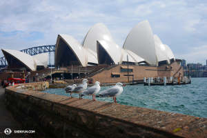 Un instant de paix et d’harmonie à l’Opéra de Sydney. (Photo par le danseur Ben Chen)