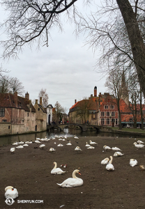 Bruges encore (Photo par la projectionniste Annie Li)