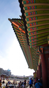 Sous les corniches du Palais Gyeongbokgung. Le style architectural du palais relève de l’ancienne tradition chinoise. La culture traditionnelle chinoise est particulièrement vénérée en Corée mais ironiquement, un spectacle sur la culture traditionnelle chinoise a été annulé à cause de l’ambassade de Chine. (Photo par le danseur Ben Chen)