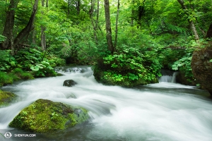 ... dans la nature.