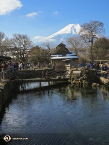 Shen Yun se produit dans trois villes au Japon et trois villes en Corée du Sud avant de partir pour Taïwan puis l'Australie. (Photo de Kexin Li)