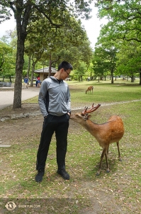 Le Danseur Daren Chou s’est également fait de nouveaux amis dans un parc japonais.