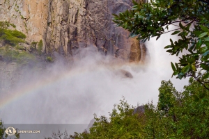 Lily Wang était déterminée pour prendre en photo - d’assez près mais avec prudence -  cet arc-en-ciel à Bridalveil Falls. Dans le processus, elle a été trempée par les brumes, mais cela en valait la peine.