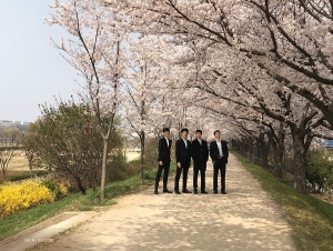 <p>Les danseurs de la Shen Yun World Company per&ccedil;oivent les premiers signes du printemps. (Photo de la directrice de la compagnie, Vina Lee)</p>