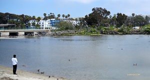 <p>Au port de Dana Point en Californie, le t&eacute;nor de la&nbsp;Shen Yun International Company,Gao Liang, partage une collation avec les oiseaux. (Photo d&rsquo; Annie Li, ing&eacute;nieur projectioniste)</p>