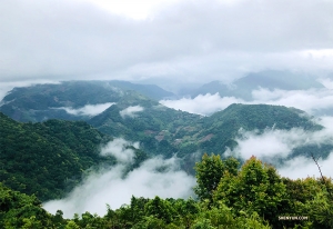 Jeff Chuang a également visité la ferme Qingjing de Taiwan. A 1750 mètres d'altitude, c'est l'un des meilleurs lieux de vacances sur l'île lors des étés très chauds à Taïwan....