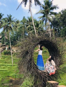 Ashley Wei (à gauche) et Diana Teng trouvent un endroit tranquille pour se remettre de leur montée d'adrénaline.