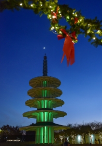 Après une représentation en matinée le jour du Nouvel An, les artistes se rendent au Japantown de San Francisco. 

(Photo par Johnny Chao)