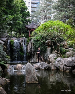 À Sydney, en Australie, les danseurs se promènent tranquillement dans le Jardin chinois de l'Amitié.
